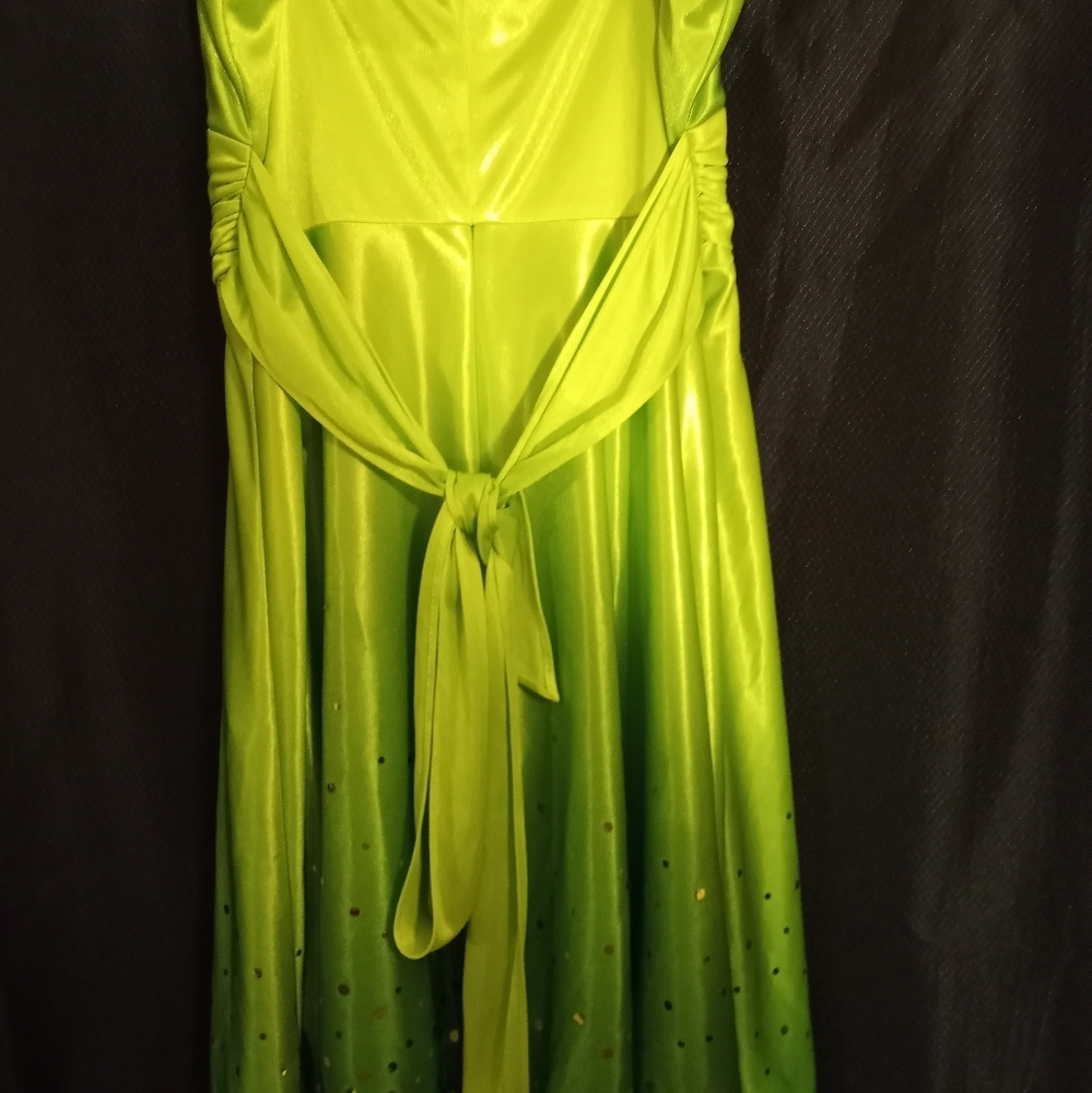Worn once Wendye Chaitin Jump Apparel green ombre dress size 7 - Picture 2 of 3